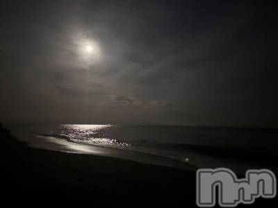 ��Į����Х��顦����֥���� �ץ���� ����(����� �ץ���� ������) ���ࡡ�ߤ줤(21)��2��8���̥�֥�����🌕��