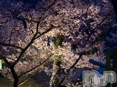 ��Į����Х��顦����֥���� �ץ���� ����(����� �ץ���� ������) ���ࡡ�ߤ줤(21)��4��12���̥�֥�����🌸��