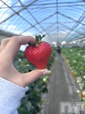 ��Į����Х��顦����֥���� �ץ���� ����(����� �ץ���� ������) ���ࡡ�ߤ줤(21)��4��12���̥�֥�����🍓��