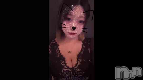 &#x1F408;&#x200D;&#x2B1B;&#x1F380;