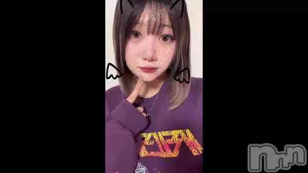 &#x1F430;&#x1F315;
