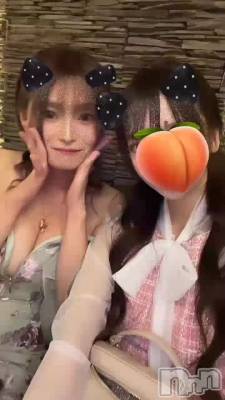 105 1951ʬư