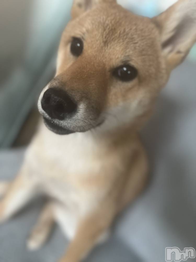 ĮХ顦La Clacion(鎥饷) 1018̥֥֤🐶