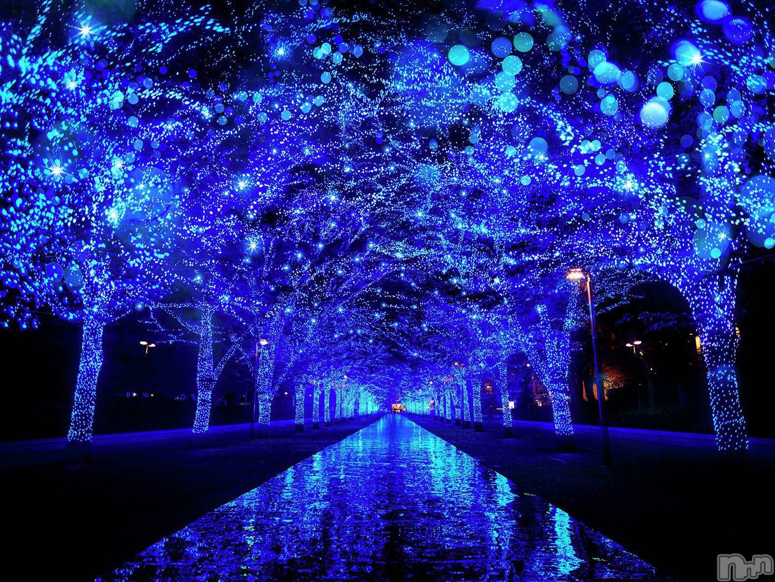 ĮХ顦La Clacion(鎥饷) 2024ǯ1122̥֥💫💫