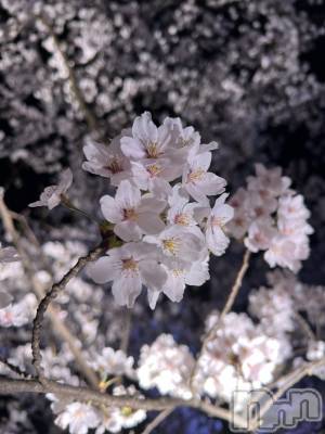 ĮХ顦La Clacion(鎥饷) 41̥֥🌸💕