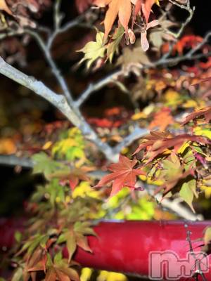 ĮХ顦La Clacion(鎥饷) 925̥֥🍁🍂