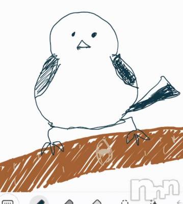 松本発ぽっちゃり ちゃんこ長野　塩尻北IC店(チャンコナガノ　シオジリキタインターチェンジテン) ひじり(27)の5月27日写メブログ「画伯！！！！！！！！！」