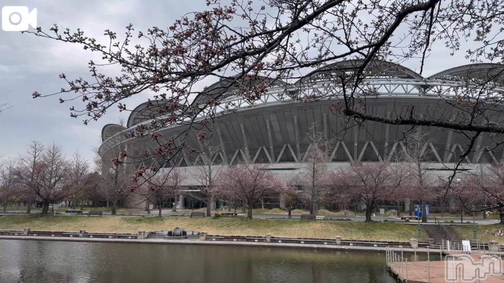 新潟デリヘル熟女の風俗 最終章(ジュクジョノフウゾクサイシュウショウ) ほのか(54)の4月1日写メブログ「待ちきれず」