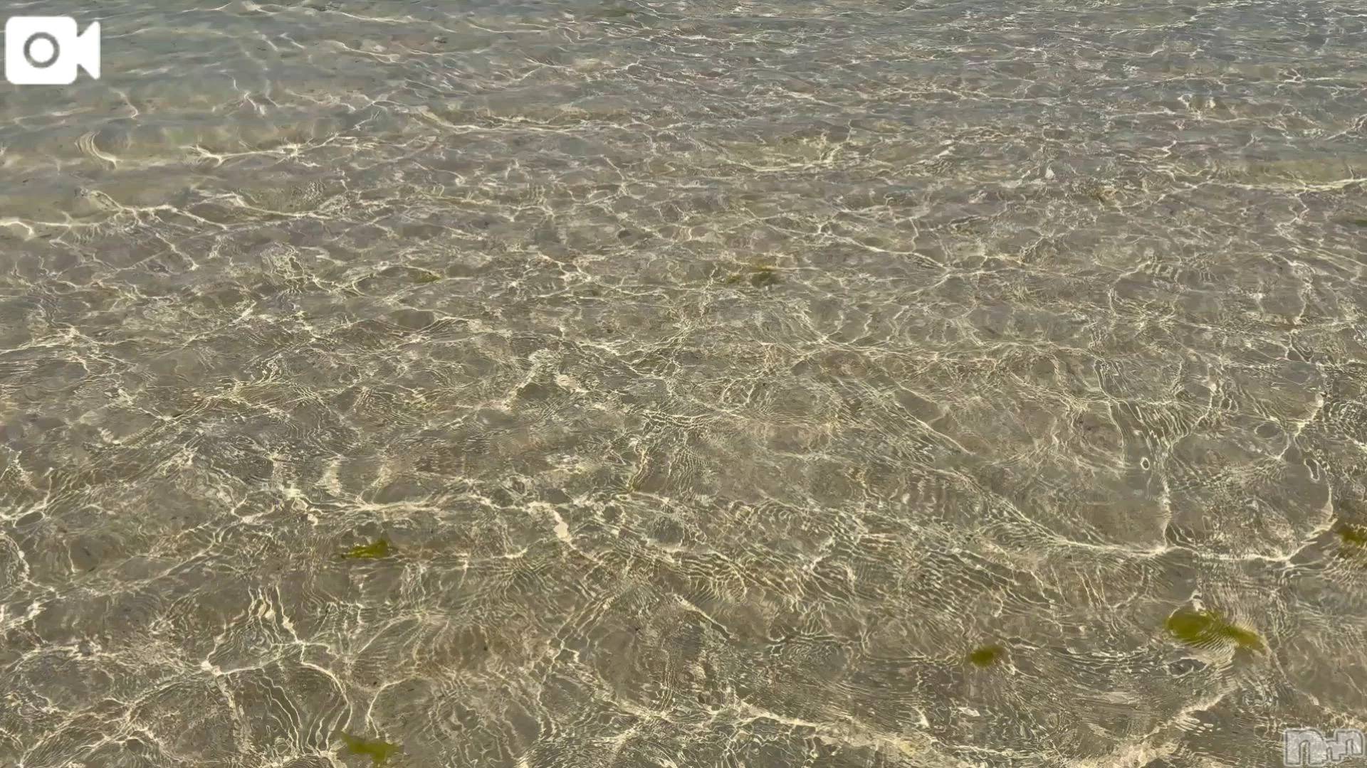 新潟デリヘル熟女の風俗 最終章(ジュクジョノフウゾクサイシュウショウ)ほのか(54)の2026年3月18日写メブログ「Summer breeze」