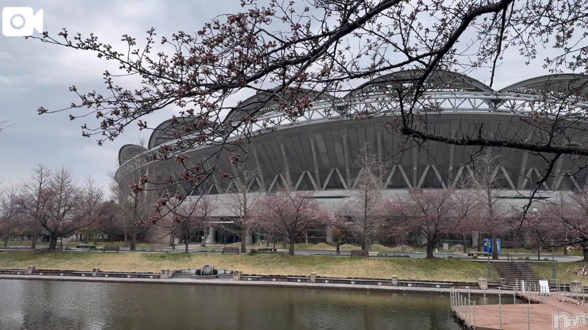 新潟デリヘル熟女の風俗 最終章(ジュクジョノフウゾクサイシュウショウ)ほのか(54)の2026年4月1日写メブログ「待ちきれず」