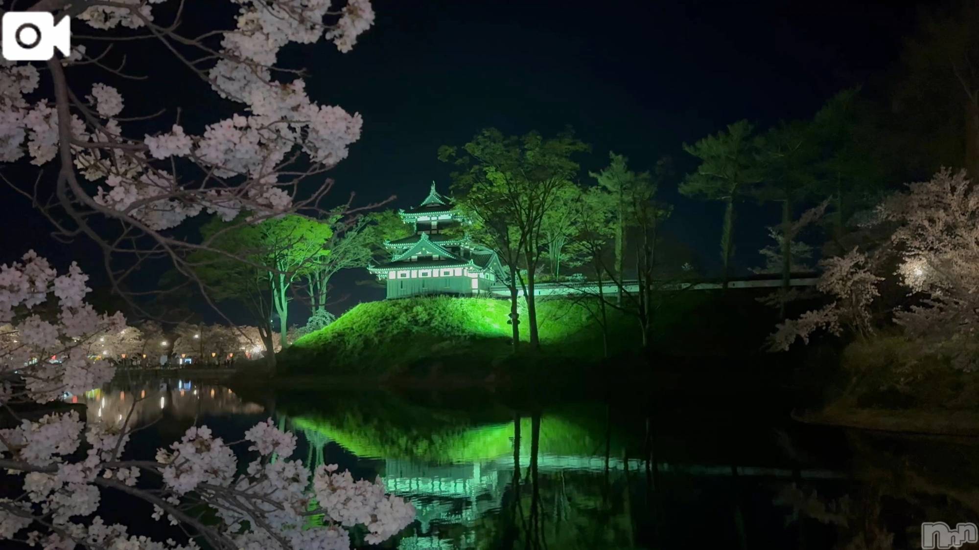 新潟デリヘル熟女の風俗 最終章(ジュクジョノフウゾクサイシュウショウ)ほのか(54)の2026年4月8日写メブログ「感動の一日」