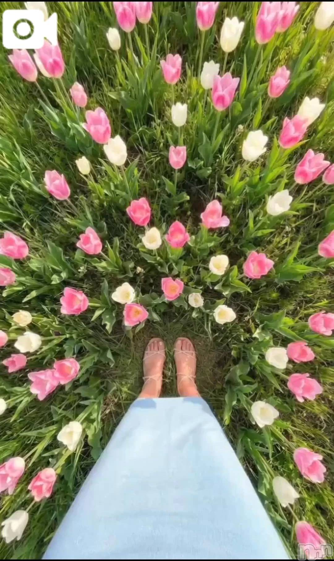 新潟デリヘル熟女の風俗 最終章(ジュクジョノフウゾクサイシュウショウ)ほのか(54)の2026年4月9日写メブログ「Good morning♪」