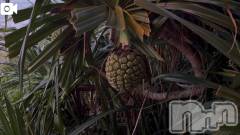 新潟デリヘル熟女の風俗 最終章(ジュクジョノフウゾクサイシュウショウ) ほのか(54)の3月13日写メブログ「海ドライブにて」