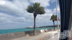 新潟デリヘル熟女の風俗 最終章(ジュクジョノフウゾクサイシュウショウ) ほのか(54)の3月14日写メブログ「本日は晴天なり」