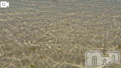 新潟デリヘル熟女の風俗 最終章(ジュクジョノフウゾクサイシュウショウ) ほのか(54)の3月18日写メブログ「Summer breeze」