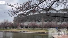 新潟デリヘル熟女の風俗 最終章(ジュクジョノフウゾクサイシュウショウ) ほのか(54)の4月1日写メブログ「待ちきれず」