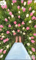 新潟デリヘル熟女の風俗 最終章(ジュクジョノフウゾクサイシュウショウ) ほのか(54)の4月9日写メブログ「Good morning♪」