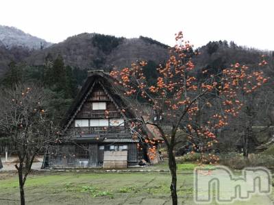 新潟人妻デリヘル 熟女の風俗 最終章(ジュクジョノフウゾクサイシュウショウ) ほのか(54)の11月16日写メブログ「「結の心」を訪ねて♡白川郷にて」