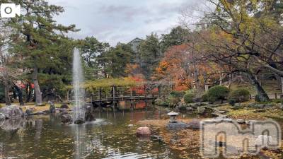 新潟デリヘル 熟女の風俗 最終章(ジュクジョノフウゾクサイシュウショウ) ほのか(54)の11月25日写メブログ「新潟の残秋を味わう」