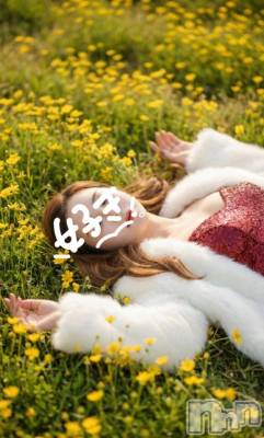 新潟デリヘル 熟女の風俗 最終章(ジュクジョノフウゾクサイシュウショウ) ほのか(54)の3月16日写メブログ「I'll be back♪」