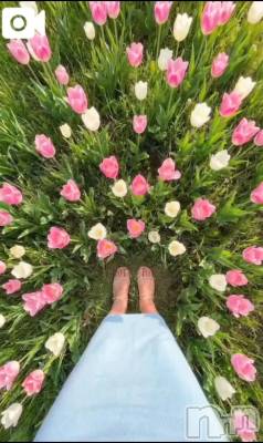 新潟デリヘル 熟女の風俗 最終章(ジュクジョノフウゾクサイシュウショウ) ほのか(54)の4月9日写メブログ「Good morning♪」