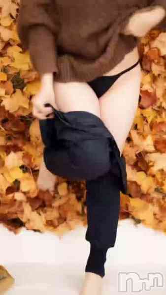 ほのかの動画 11月14日 17時13分のブログ