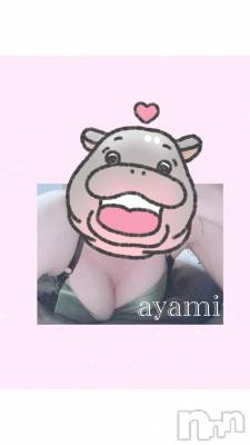 長岡デリヘル BIANCA～主人の知らない私～長岡店(ビアンカナガオカテン) 桐ケ谷　あやみ(29)の10月1日写メブログ「🐈🧶」