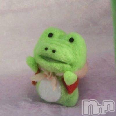 長岡デリヘル BIANCA～主人の知らない私～長岡店(ビアンカナガオカテン) 桐ケ谷　あやみ(29)の3月18日写メブログ「🦖☀️」