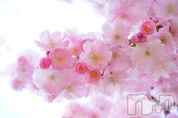 伊那デリヘルピーチガール れむ(27)の4月11日写メブログ「桜🌸」