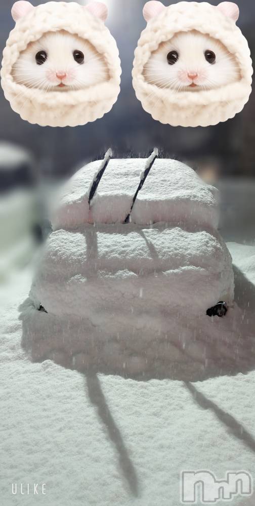 長岡デリヘルMimi(ミミ) のあ(29)の1月24日写メブログ「必死の救出…」