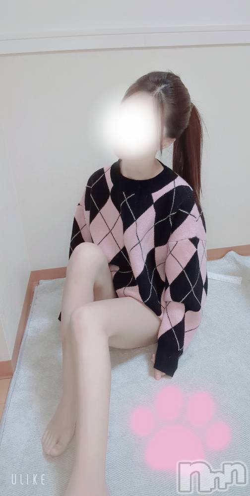 長岡デリヘルMimi(ミミ) のあ★月間RANK8位★(29)の2月24日写メブログ「飼い主さん募集♡すぐなつきます🎵」