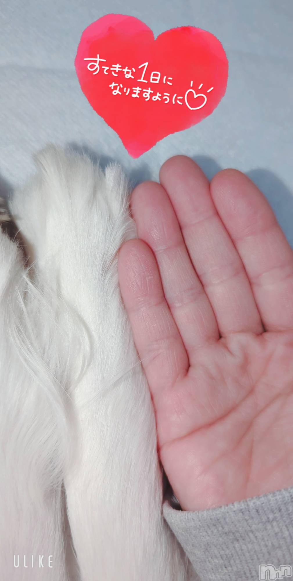 長岡デリヘルMimi(ミミ)のあ(29)の2026年1月9日写メブログ「あたってる♡」