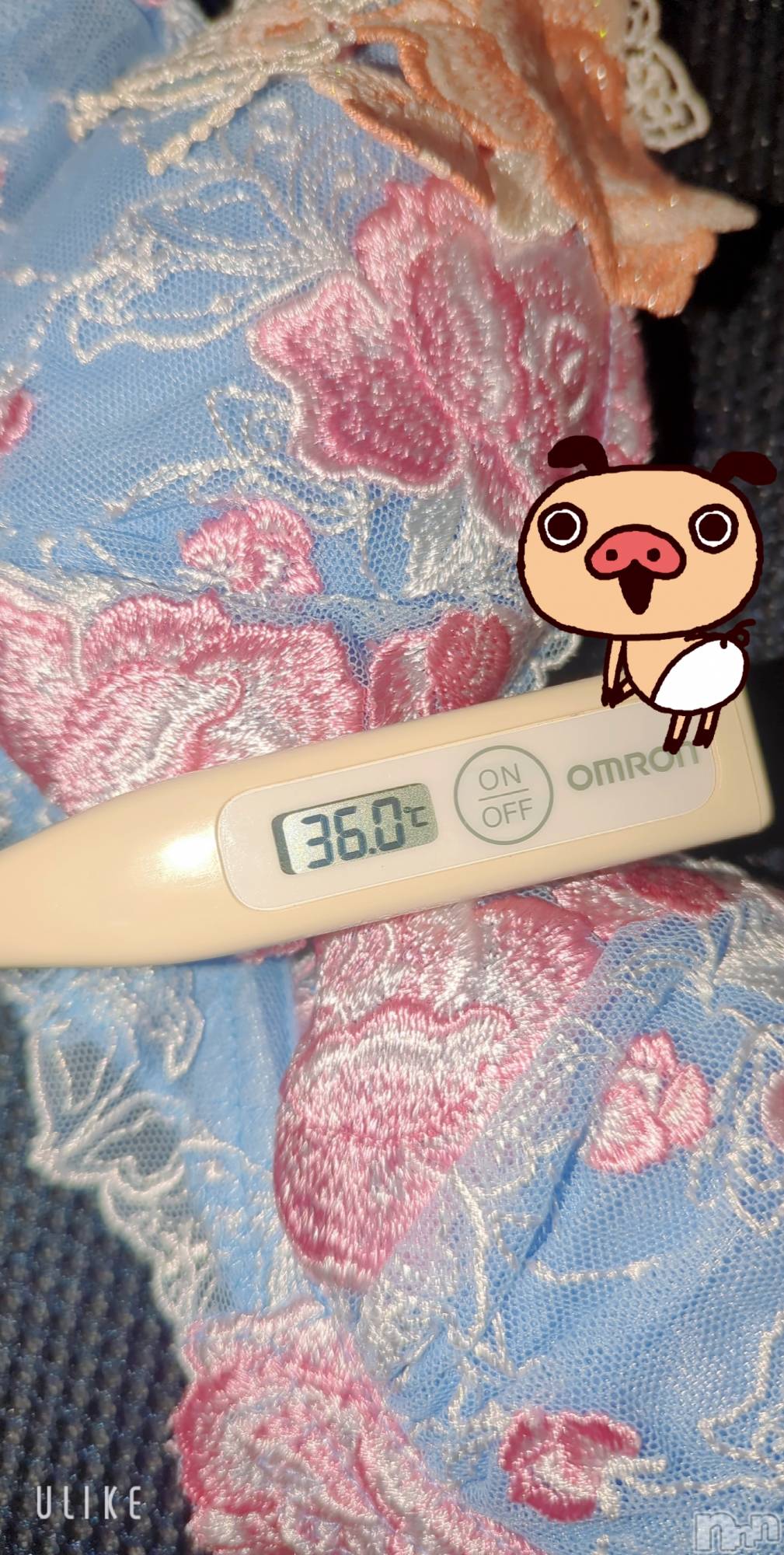 長岡デリヘルMimi(ミミ)のあ(29)の2026年1月12日写メブログ「出勤♡」