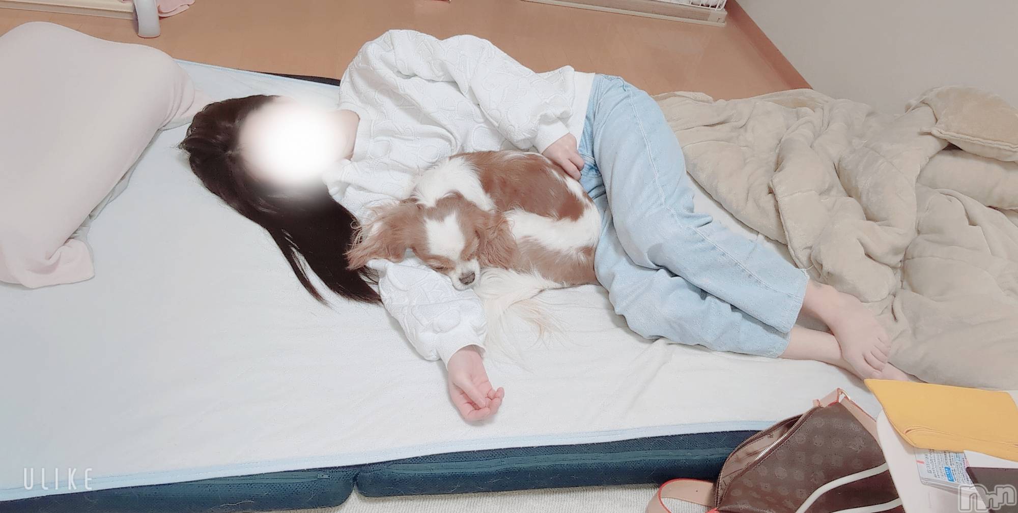 長岡デリヘルMimi(ミミ)のあ(29)の2026年1月23日写メブログ「テトリスかな♡」