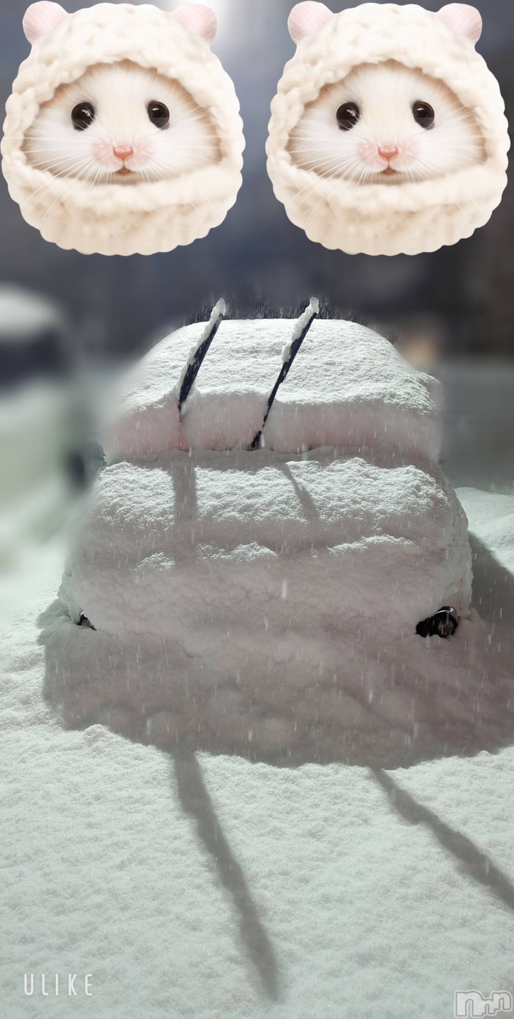 長岡デリヘルMimi(ミミ)のあ(29)の2026年1月24日写メブログ「必死の救出…」