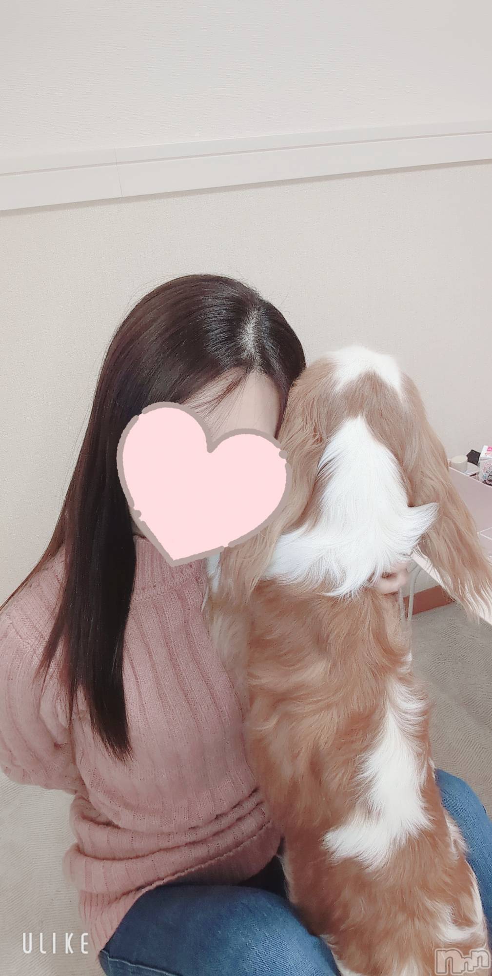 長岡デリヘルMimi(ミミ)のあ★月間RANK8位★(29)の2026年2月12日写メブログ「ウソツキ！」