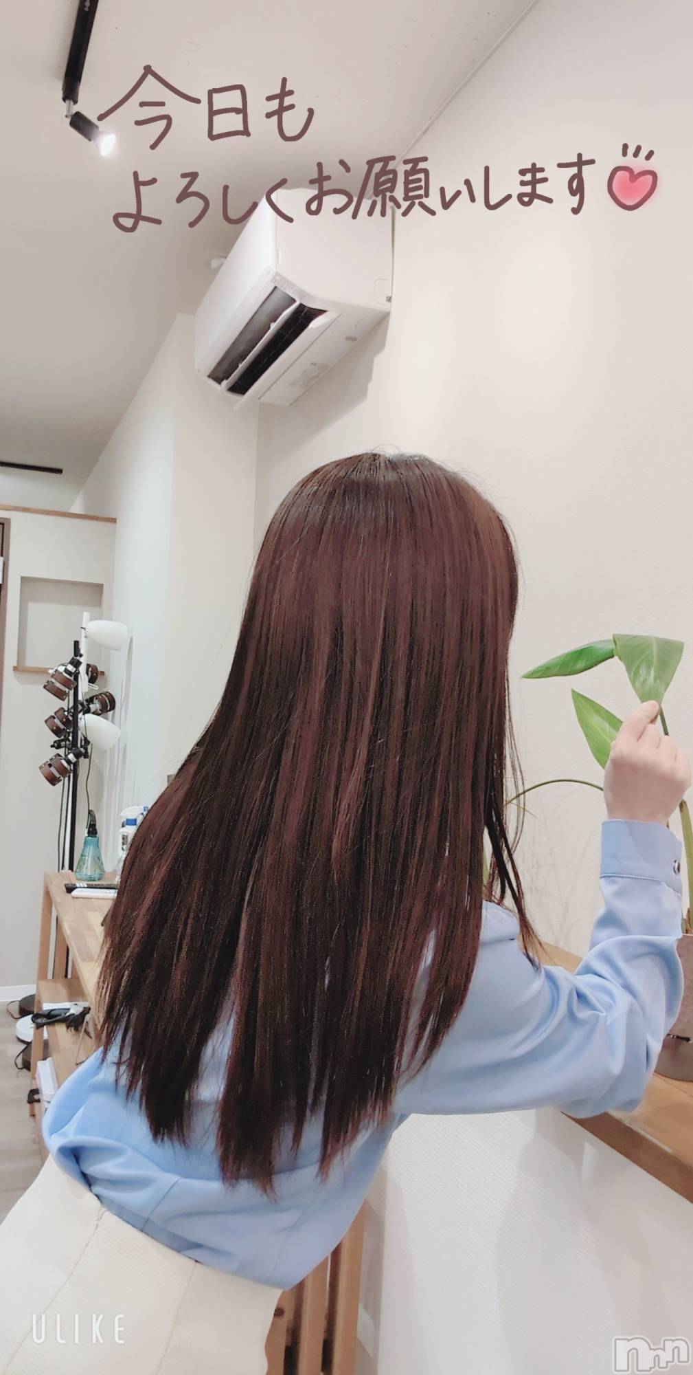 長岡デリヘルMimi(ミミ)のあ★月間RANK8位★(29)の2026年2月15日写メブログ「今月いっぱいは出勤させてもらいます♥️」