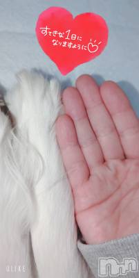 長岡デリヘル Mimi(ミミ) のあ(29)の1月9日写メブログ「あたってる♡」