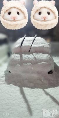 長岡デリヘル Mimi(ミミ) のあ(29)の1月24日写メブログ「必死の救出…」