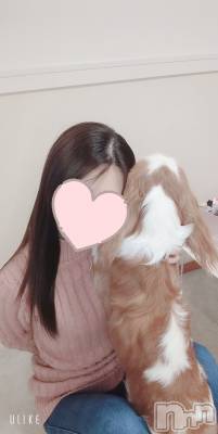 長岡デリヘル Mimi(ミミ) のあ★月間RANK8位★(29)の2月12日写メブログ「ウソツキ！」