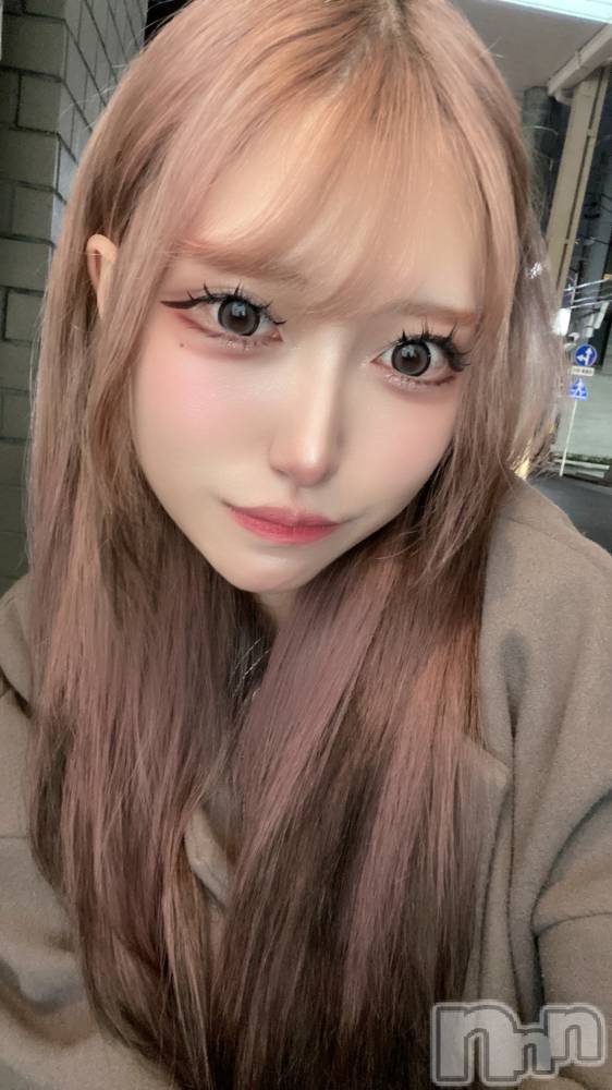 ʥå륺СBar  Angel(С󥸥) Τ51̥֥֤դ