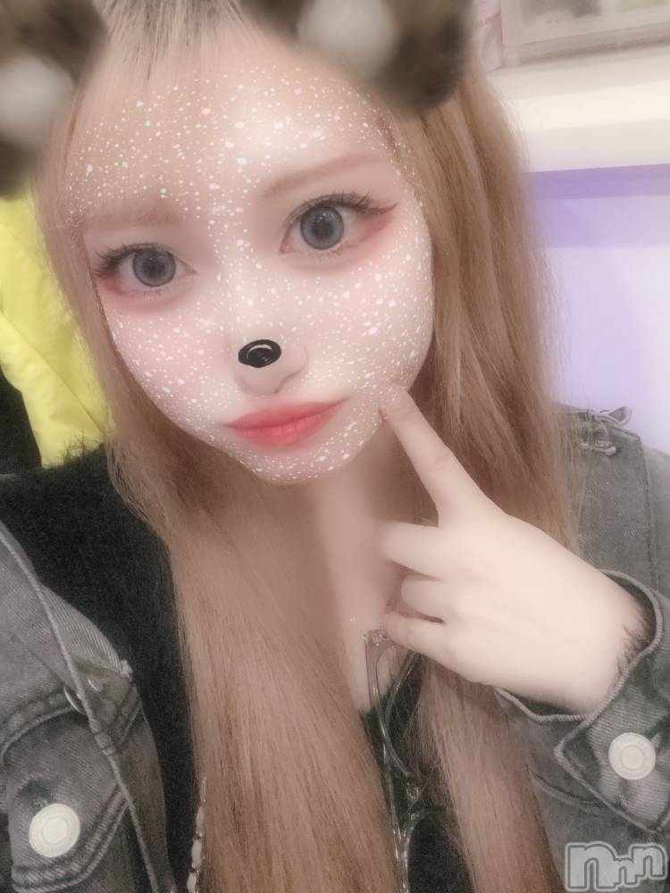 ʥå륺СBar  Angel(С󥸥) Τ66̥֥ŷä🪽