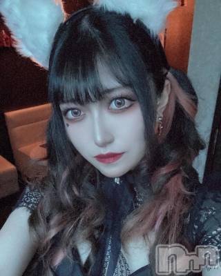 ʥå륺СBar  Angel(С󥸥) Τ(24)1023̥֥ȱĹʡ