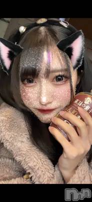 ʥå륺СBar  Angel(С󥸥) Τ(24)319ֵ̥֥