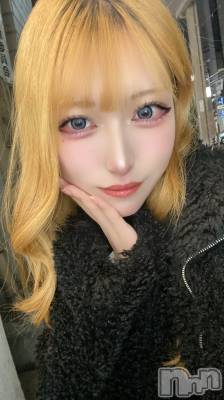 ʥå륺СBar  Angel(С󥸥) Τ(24)21̥֥֤äȤ󤤤