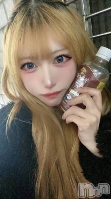 ʥå륺СBar  Angel(С󥸥) Τ(24)215̥֥֤ޤʡ