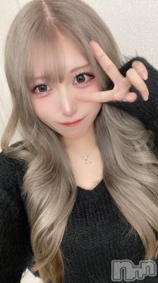 ʥå륺СBar  Angel(С󥸥) Τ(24)217̥֥Ѥʤ