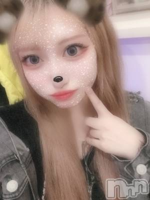 ʥå륺СBar  Angel(С󥸥) Τ66̥֥ŷä🪽