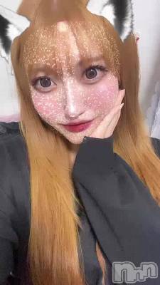 ʤǸʤ( `)