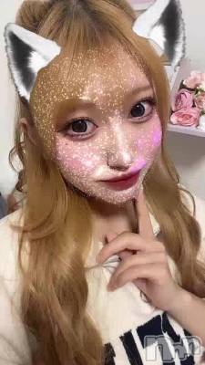 ɡǤ❔